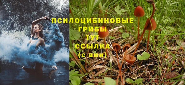 дурь Белоозёрский