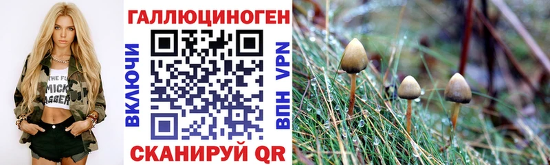 купить наркотик  Кольчугино  Галлюциногенные грибы GOLDEN TEACHER 